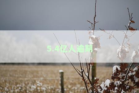 7.8亿人逾期，7.8亿人逾期：揭示中国金融市场的信贷风险与挑战
