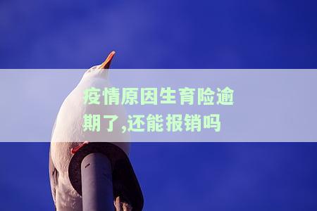 疫情原因生育险逾期了,还能报销吗