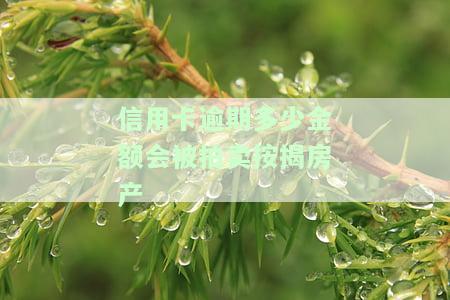 欠信用卡多少金额会查封按揭房？欠多少会冻结房产？