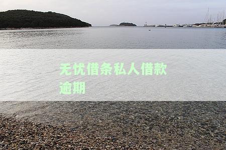 无忧借条私人借款逾期-无忧借条私人借款逾期怎么办