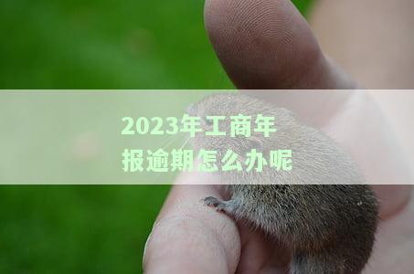 2023年工商年报逾期怎么办呢，2023年工商年报逾期处理攻略