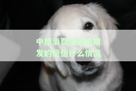 中原消费金融发信息称我逾期，但我并未借款，如何解释？