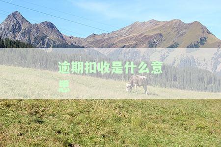 逾期扣收是什么意思-逾期扣收是什么意思