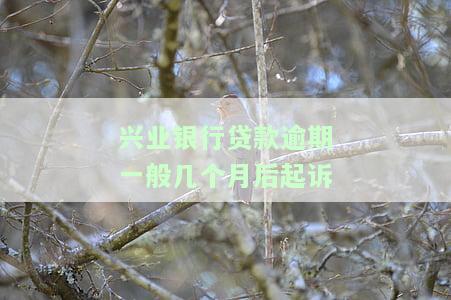 兴业银行逾期两个月，被电话告知即将被起诉，该如何应对？