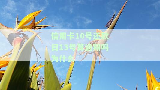 信用卡10号还款日13号算逾期吗？原因解析与解决办法