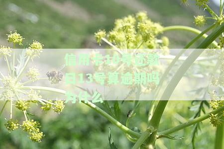 10号还款的信用卡有哪些？能否在6号刷卡？