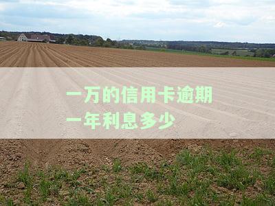 一万的信用卡逾期一年利息多少啊，急需知道！一万信用卡逾期一年，利息要支付多少？