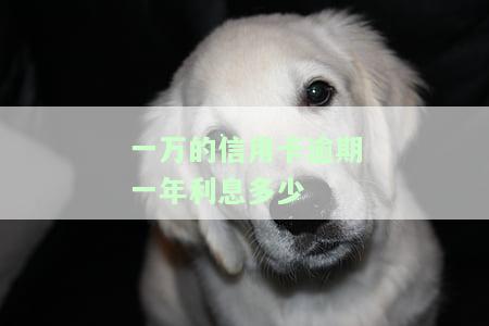 一万多信用卡逾期利息是多少，如何计算一万多信用卡逾期的利息？