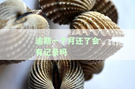 逾期一个月还了会有记录吗怎么查，如何查询逾期一个月后还款是否会有记录？