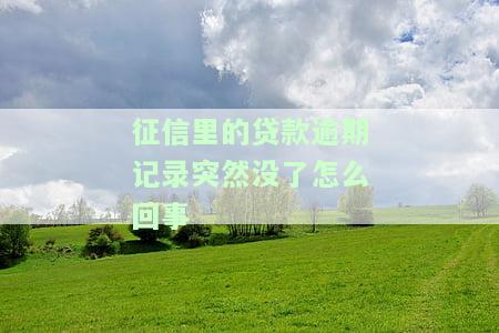 征信里的贷款逾期记录突然没了怎么回事啊，疑惑解答：为何征信上的贷款逾期记录突然消失？