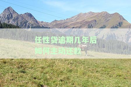 任性贷逾期多久会被起诉，了解任性贷：逾期多久会面临法律诉讼？