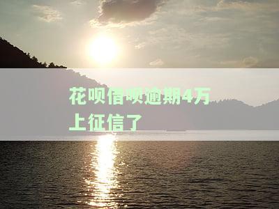 花呗借呗逾期4万上征信了，如何处理?
