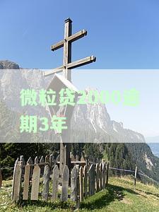 微粒贷2000逾期快两年，逾期近两年，微粒贷2000仍未还清
