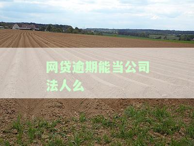 网贷逾期能当公司法人么嘛，网贷逾期是否会影响成为公司法人？