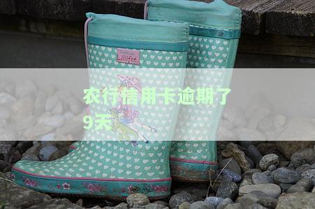 农行信用卡逾期了9天-农行信用卡逾期了9天怎么办