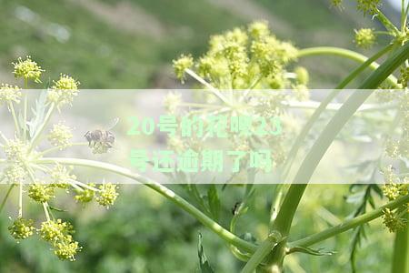 20号的花呗23号还逾期了吗为什么，疑问：20号的花呗还款在23号，是否算逾期？原因何在？