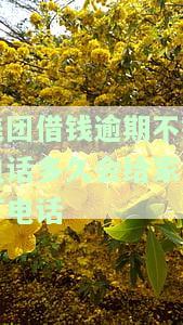 美团借钱逾期不接电话多久会给家人打电话呢，美团借钱逾期：电话不接多久会通知家人？