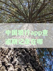 中国银行逾期记录查询及更新时间官网