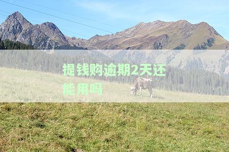 提钱购逾期两天还能用吗，提钱购逾期两天还能继续使用吗？答案在这里！