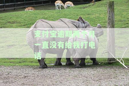 支付宝逾期2000三个月未接催款电话，原因何在？