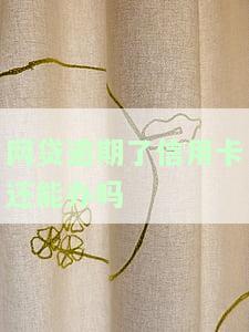 正在逾期中可以借钱的平台，急需用钱？这些正在逾期中的平台或能帮到你！
