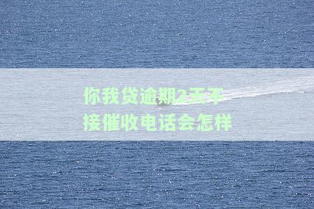 你我贷逾期2天不接催收电话会怎样处理，你我贷逾期2天未接催收电话的处理方式