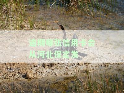 张家口信用卡逾期：如何协商？多久上征信？