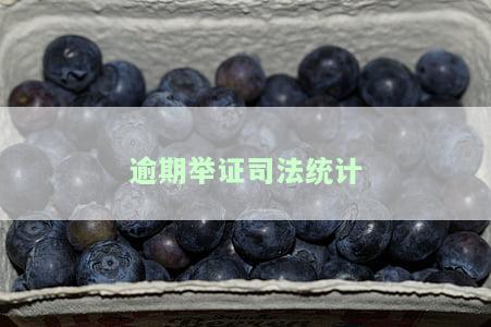 逾期举证的处罚数额：计算方法与标准