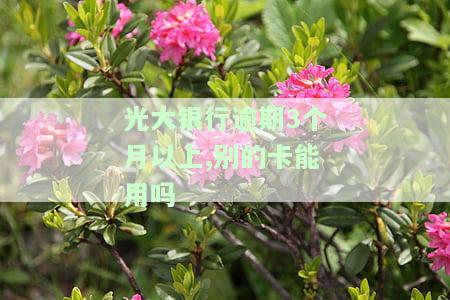 光大银行逾期3个月以上,别的卡能用吗安全吗，光大银行信用卡逾期3个月以上，其他卡还能正常使用且安全吗？