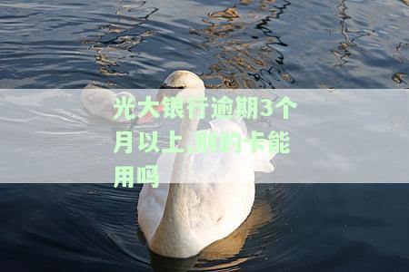 光大银行逾期三个月：是否已启动法律程序？长时间未催收，原因何在？