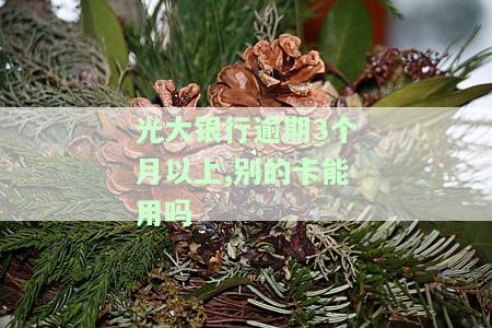 光大银行逾期三个月未还，今日一次性偿还20000