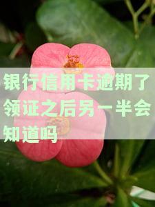 银行信用卡逾期后领证，配偶会知情吗？欠款会影响婚姻登记吗？