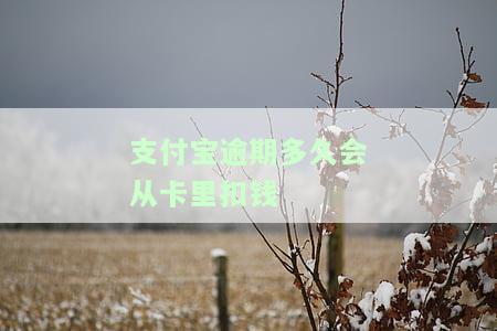 支付宝逾期多久会从卡里扣钱-支付宝逾期多久会从卡里扣钱呢