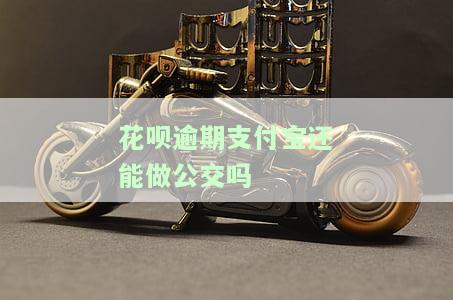 花呗逾期后仍能使用支付宝乘坐公交？