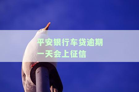 平安银行车贷逾期一天会上征信-平安银行车贷逾期一天会上征信吗知乎