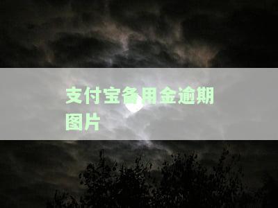 支付宝备用金逾期图片