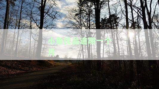 小象优品逾期一个月会爆通讯录吗，【警示】小象优品逾期一个月是否真的会爆通讯录？
