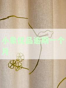 小象优品逾期一个月怎么办？解决方法全攻略！