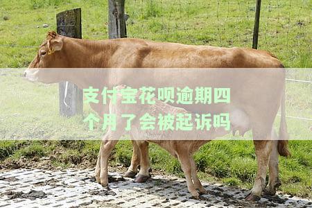 支付宝花呗逾期四个月会黑户吗，支付宝花呗逾期四个月是否会导致成为黑户？