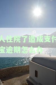 住院了在支付宝如何进行理赔？详细流程解析