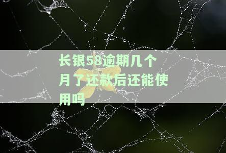 长银58逾期几个月，还款后能否继续使用？安全吗？