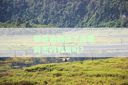 网贷逾期改了运营商密码有用吗知乎，网贷逾期：修改运营商密码是否能解决问题？——知乎上的讨论
