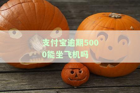 支付宝逾期了能坐飞机吗，支付宝逾期会影响乘坐飞机吗？