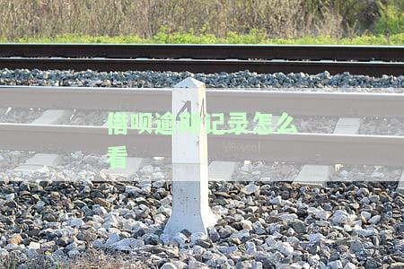 如何查看借呗逾期记录？详细步骤解析