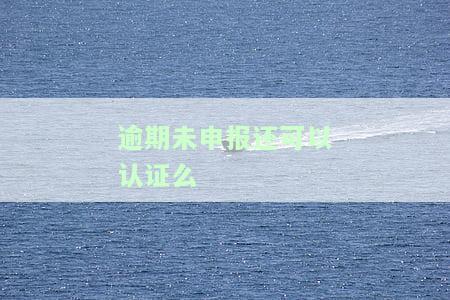 逾期未申报需哪些资料？如何处理？请详细了解