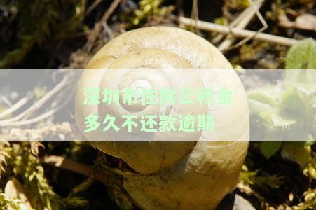 深圳公积金晚还几天算逾期？请看详细解答