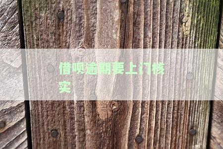 借呗逾期要上门核实