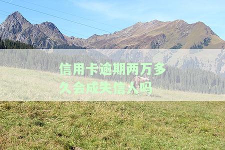 信用卡20000逾期多久会判刑，逾期20000元信用卡：多久会被判刑？