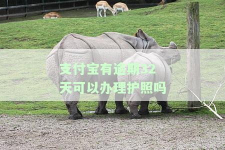支付宝有逾期32天能办护照吗？该如何处理逾期问题？