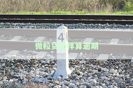 微粒贷逾期利息计算方法：详细步骤与金额说明